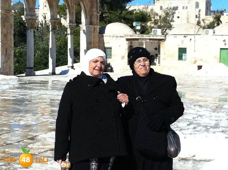 yaffa byareq (2).jpg